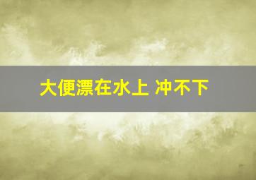 大便漂在水上 冲不下